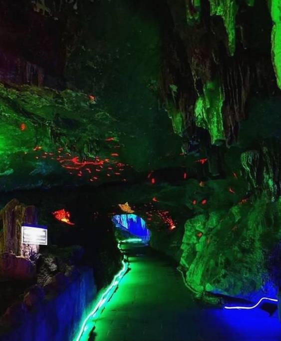 杨虎城的孙子:祝杀害爷爷的执行者长命百岁,曾写信给马英九